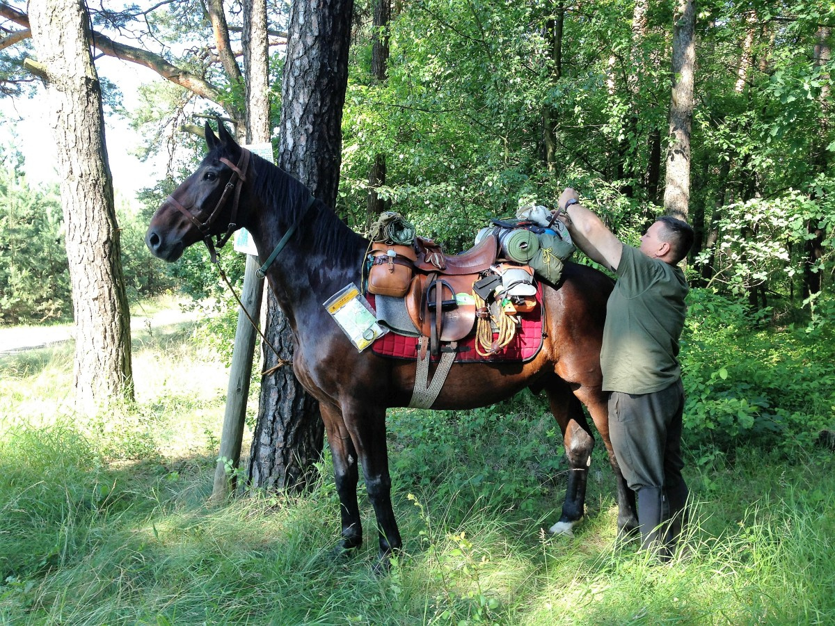 Kolejna wyprawa Piotra Kulczyny
