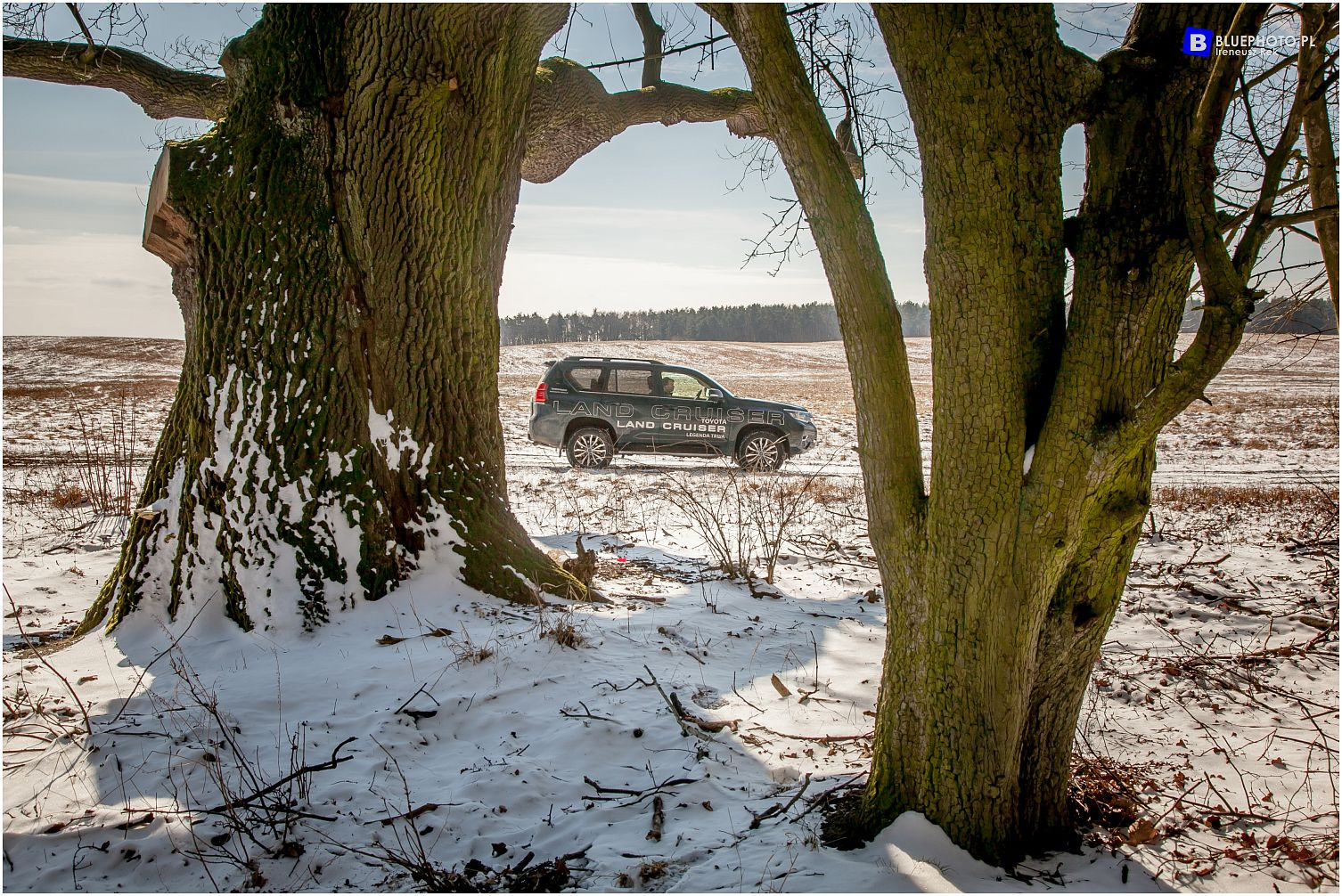Land Cruiser 150 z Toyota Radość