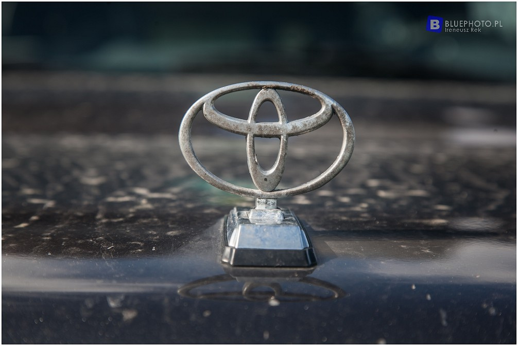 Land Cruiser 76 Artura i Jagody