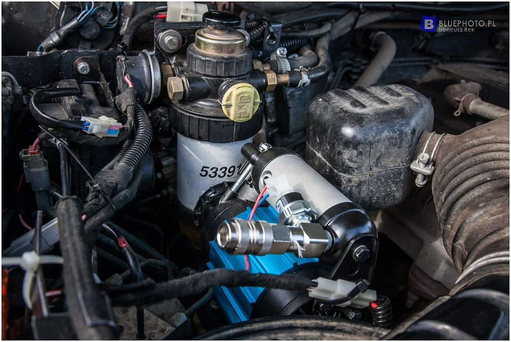 Land Cruiser 76 Artura i Jagody