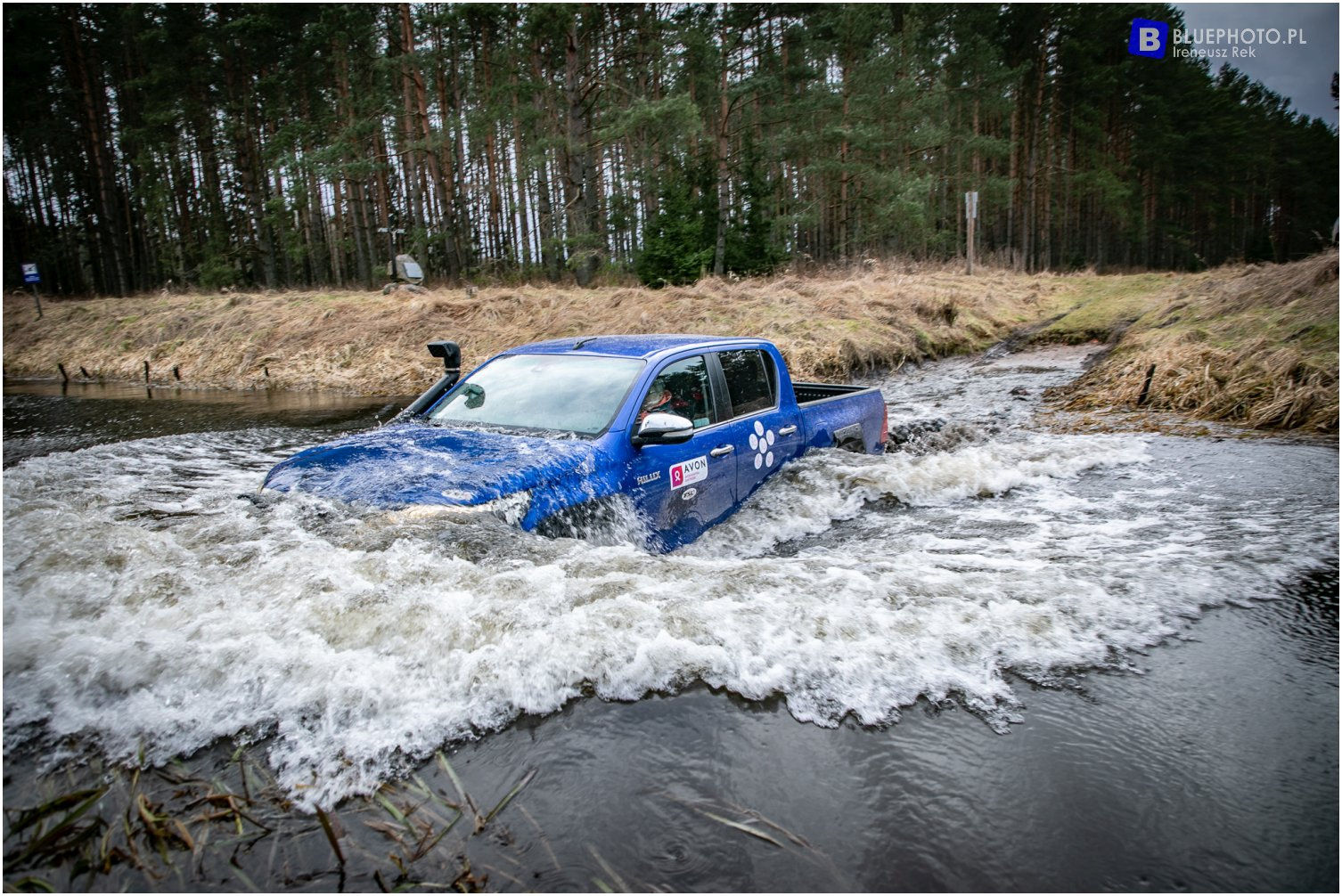 Hilux REVO - Royal Fleet - na wynajem