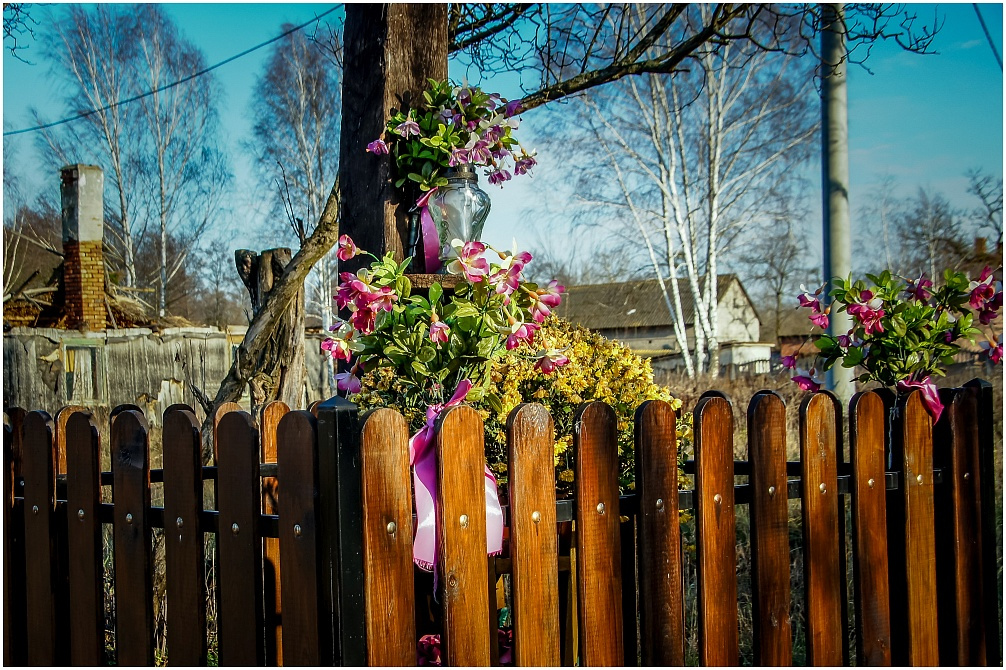 Mazovia 6 - przygotowania