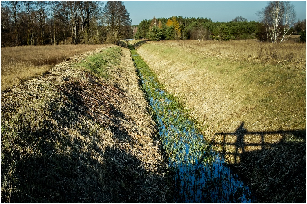 Mazovia 6 - przygotowania