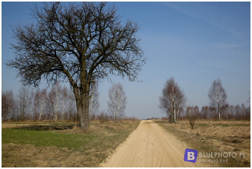 Mazovia Outback 2