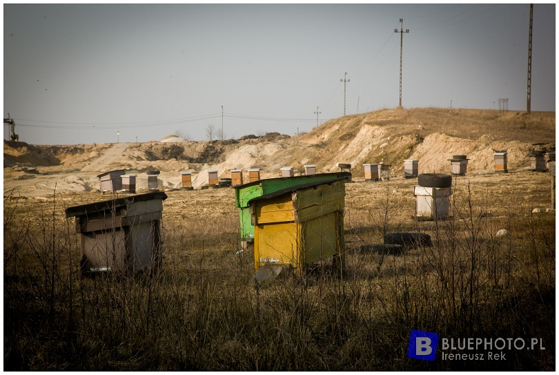 Mazovia Outback 2