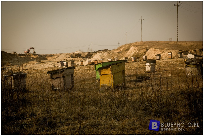 Mazovia Outback 2
