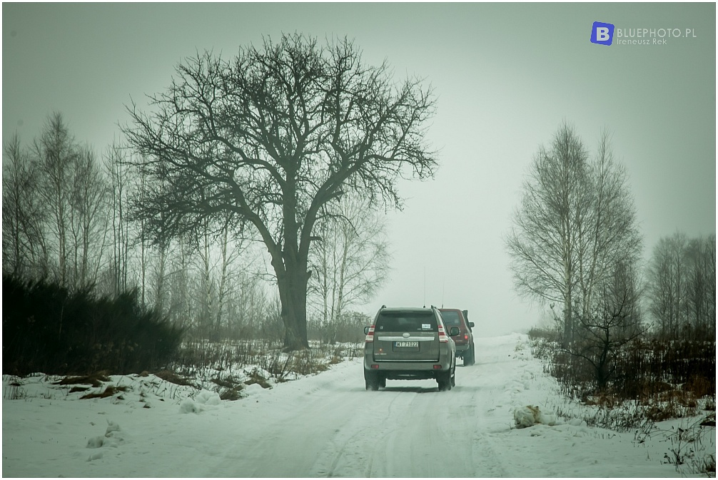 Mazovia Outback 7