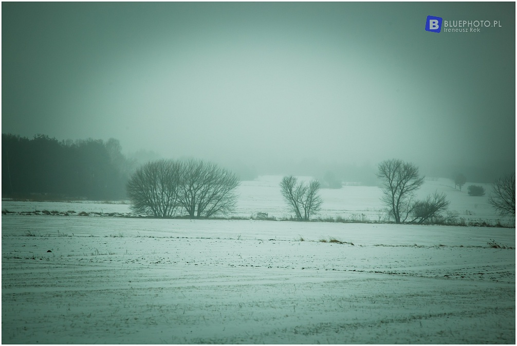 Mazovia Outback 7