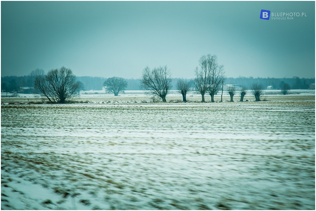 Mazovia Outback 7