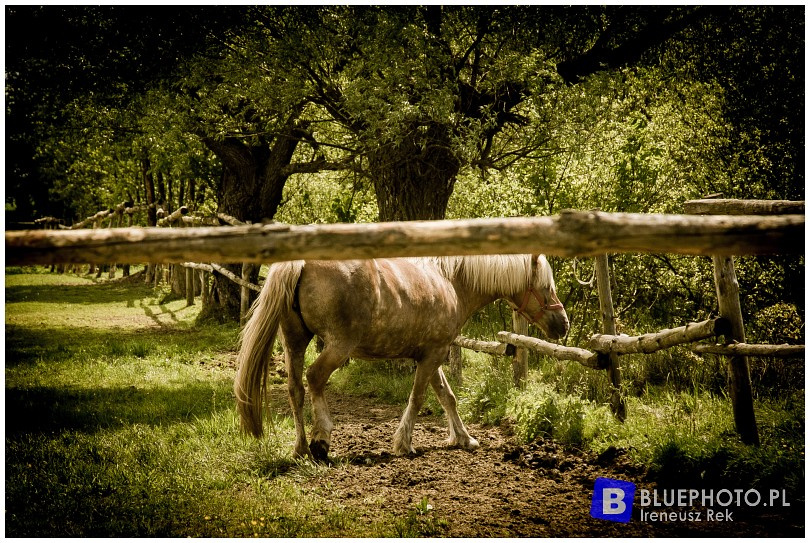 Mazovia Outback 3