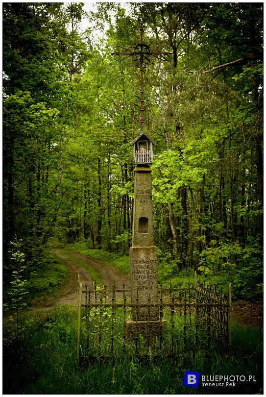 Mazowsze bocznymi  drogami 