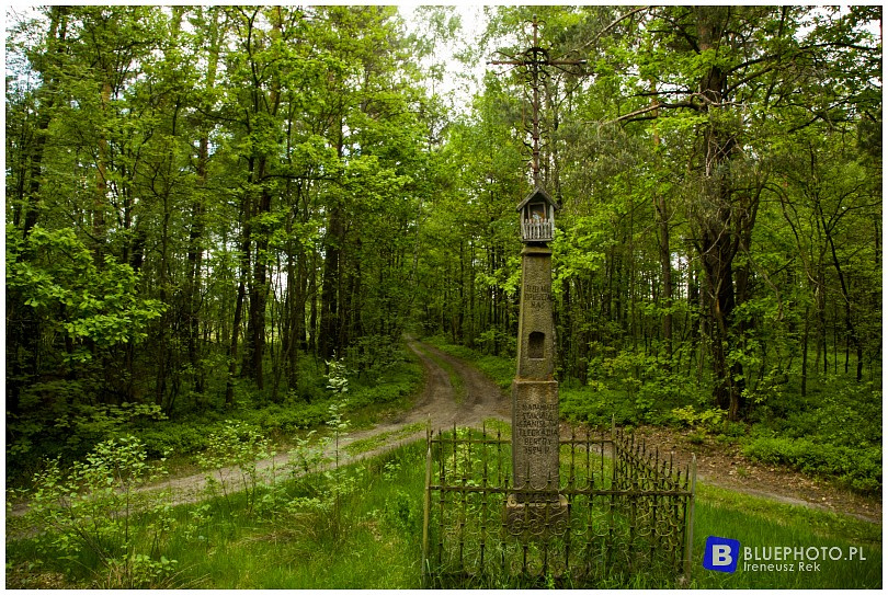 Mazowsze bocznymi  drogami 