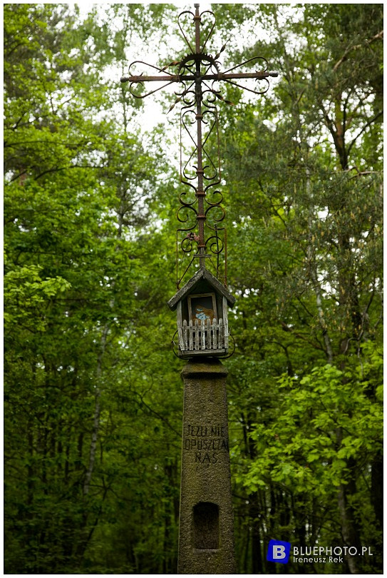 Mazowsze bocznymi  drogami 