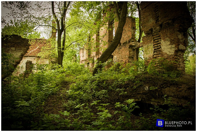 Mazowsze bocznymi  drogami 