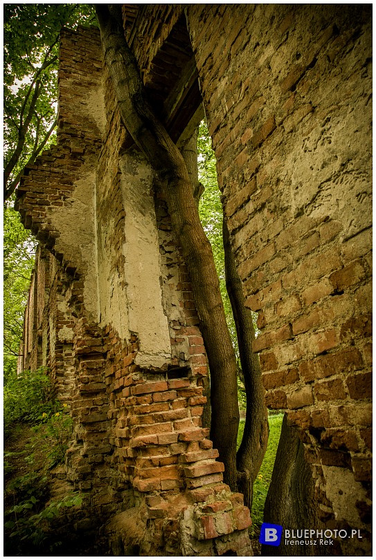 Mazowsze bocznymi  drogami 