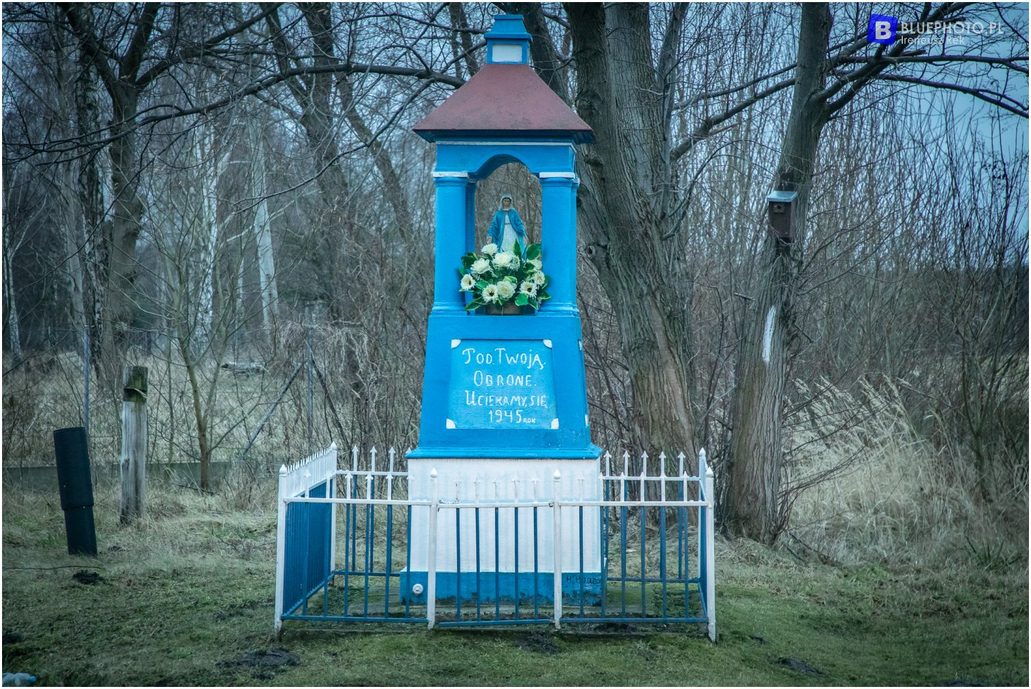 O2W trasa Sochaczew Kuklówka