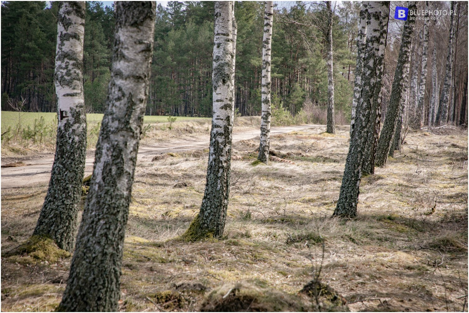 TOF 2022 - zapowiedź