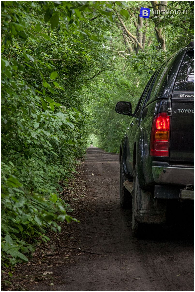 Toyota Offroad Festival  2017 cz.2