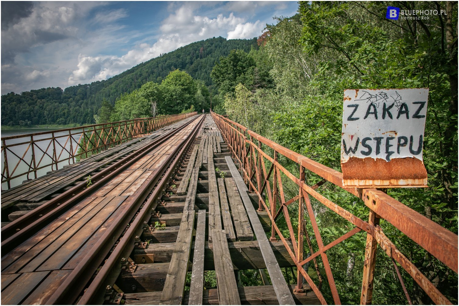 KARKONOSZE - trasa Olszyna - Pilchowice