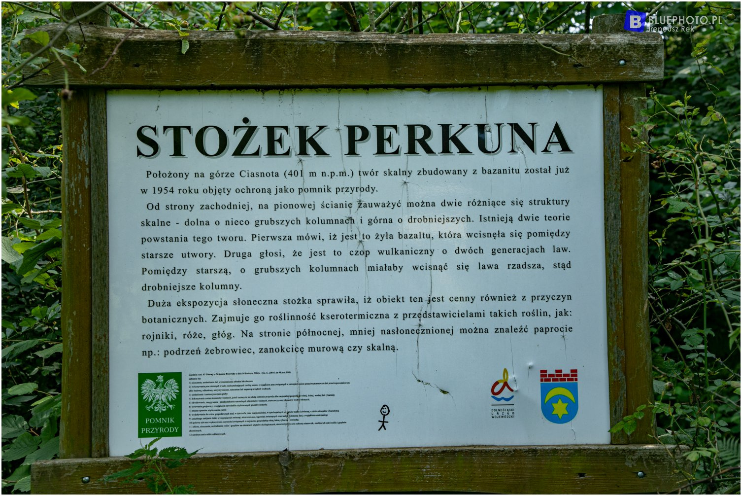 KARKONOSZE - trasa na czeską granicę
