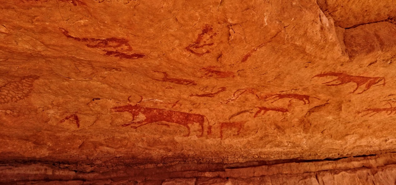 Tassili n'Ajjer z Rafałem Żurkowskim