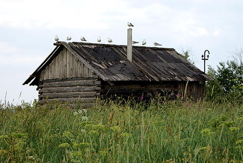 Archangielsk z Mariuszem Rewedą