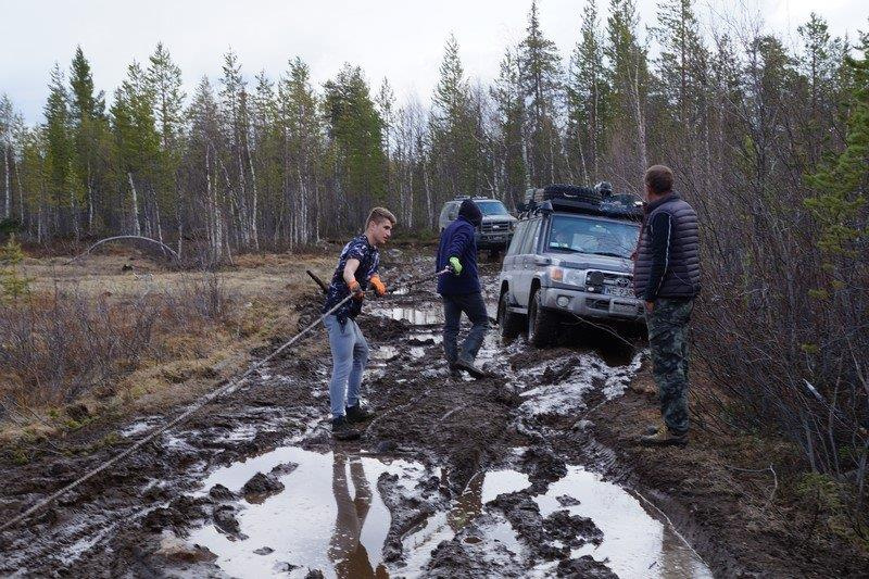 Land Cruiser 76 Artura i Jagody