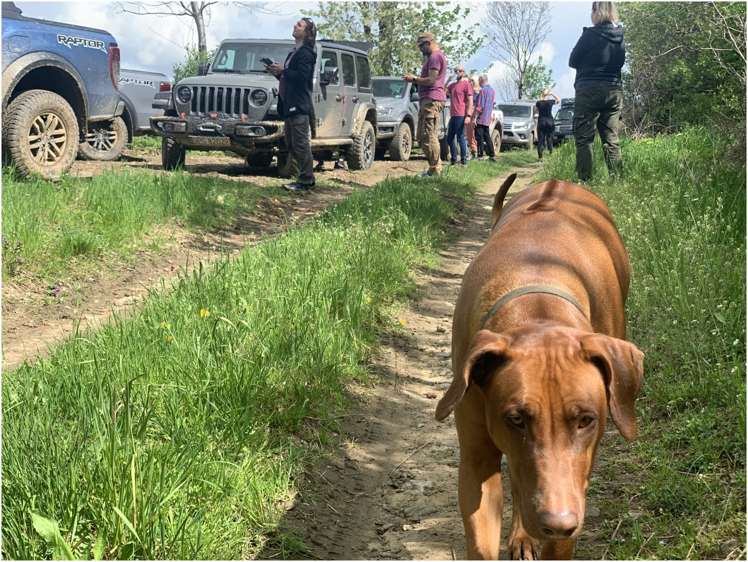 Góry Sowie z roadbookiem