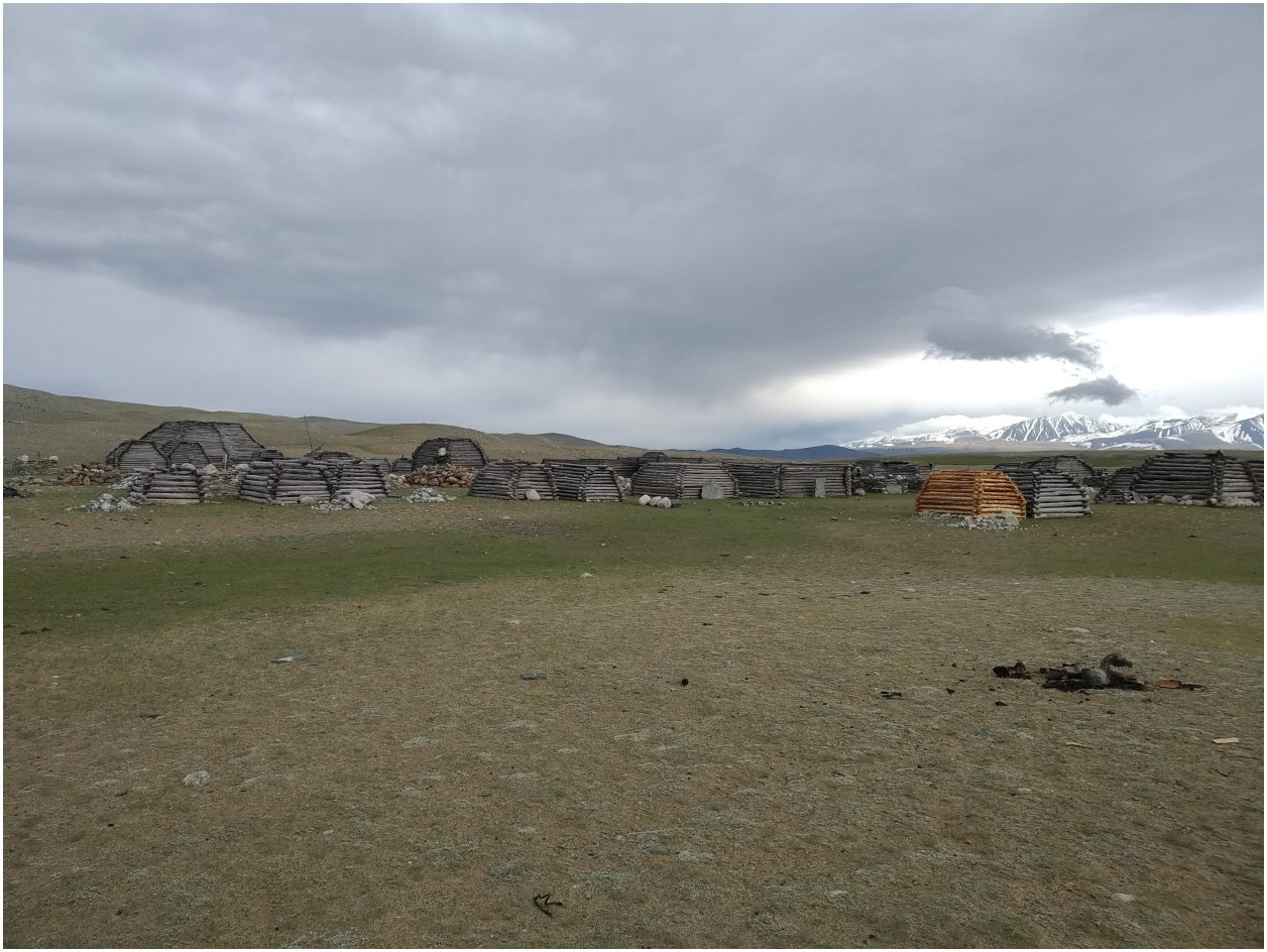 Hiluxem z kapsułą mieszkalną do Mongolii