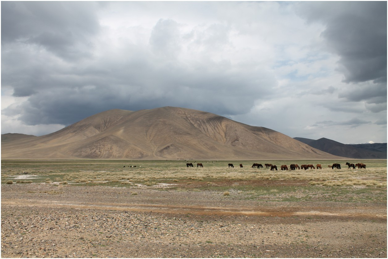 Hiluxem z kapsułą mieszkalną do Mongolii