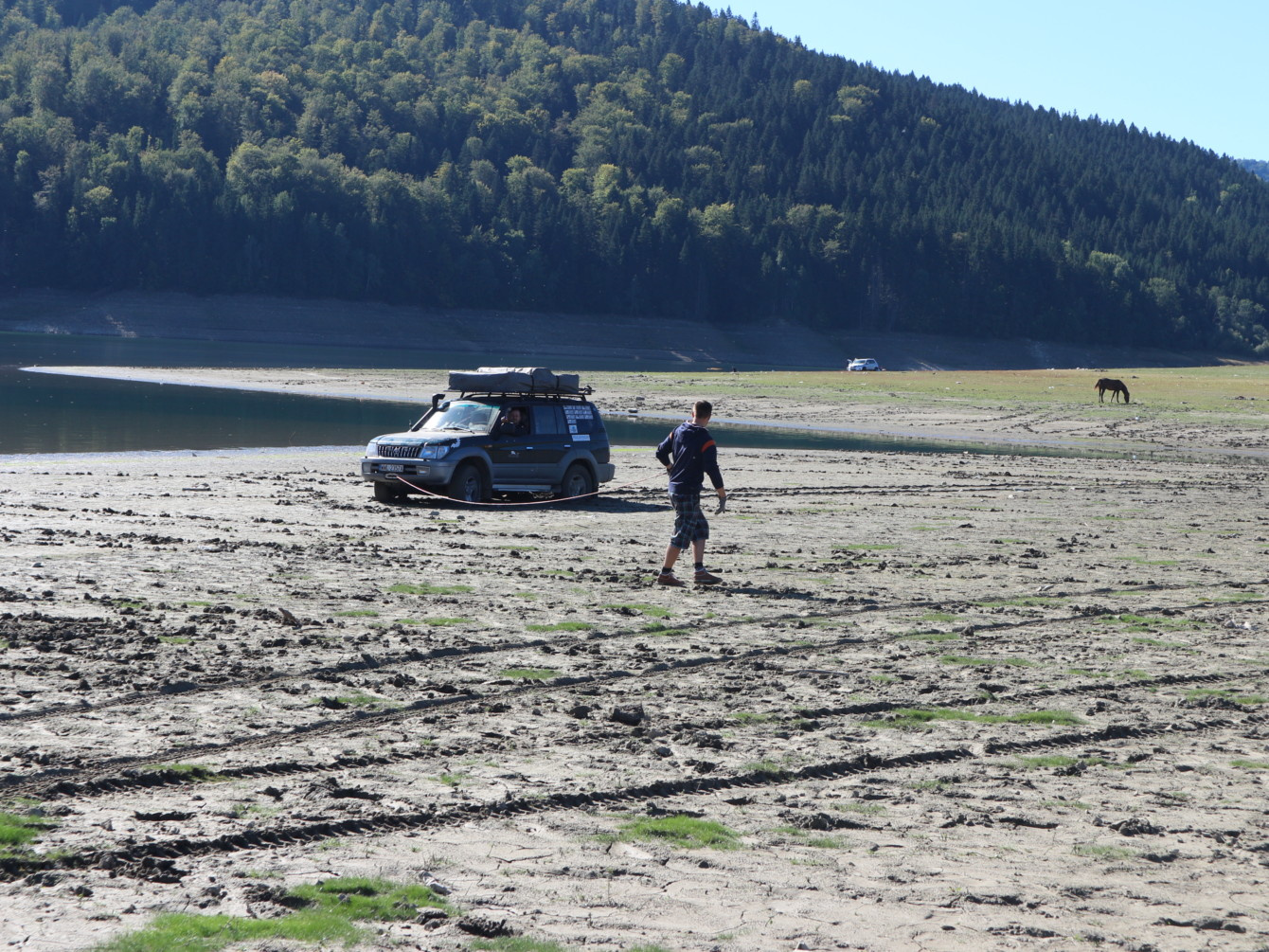 Toyoty Land Cruiser w klubie Drivenfar