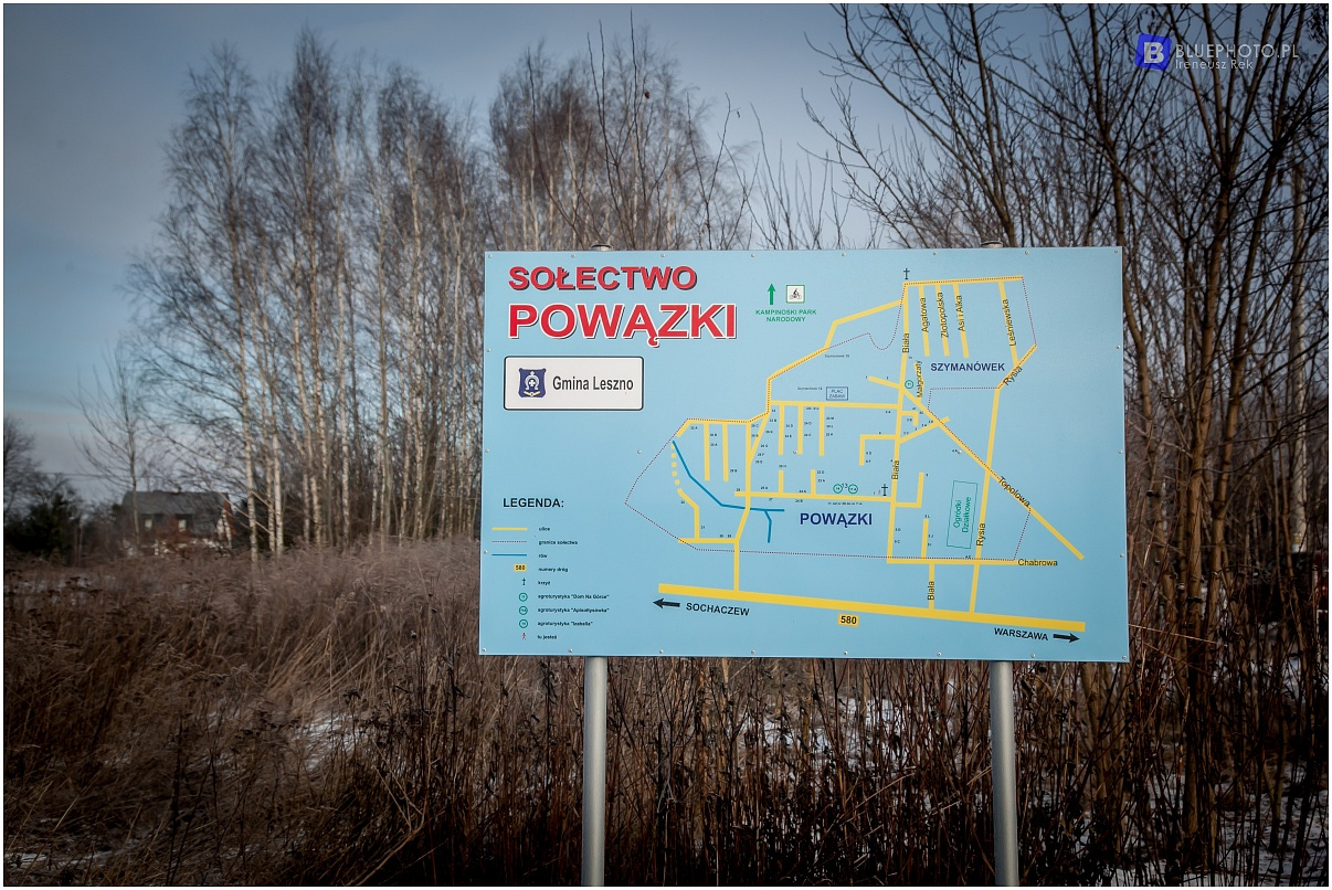 Zimowy Kampinos