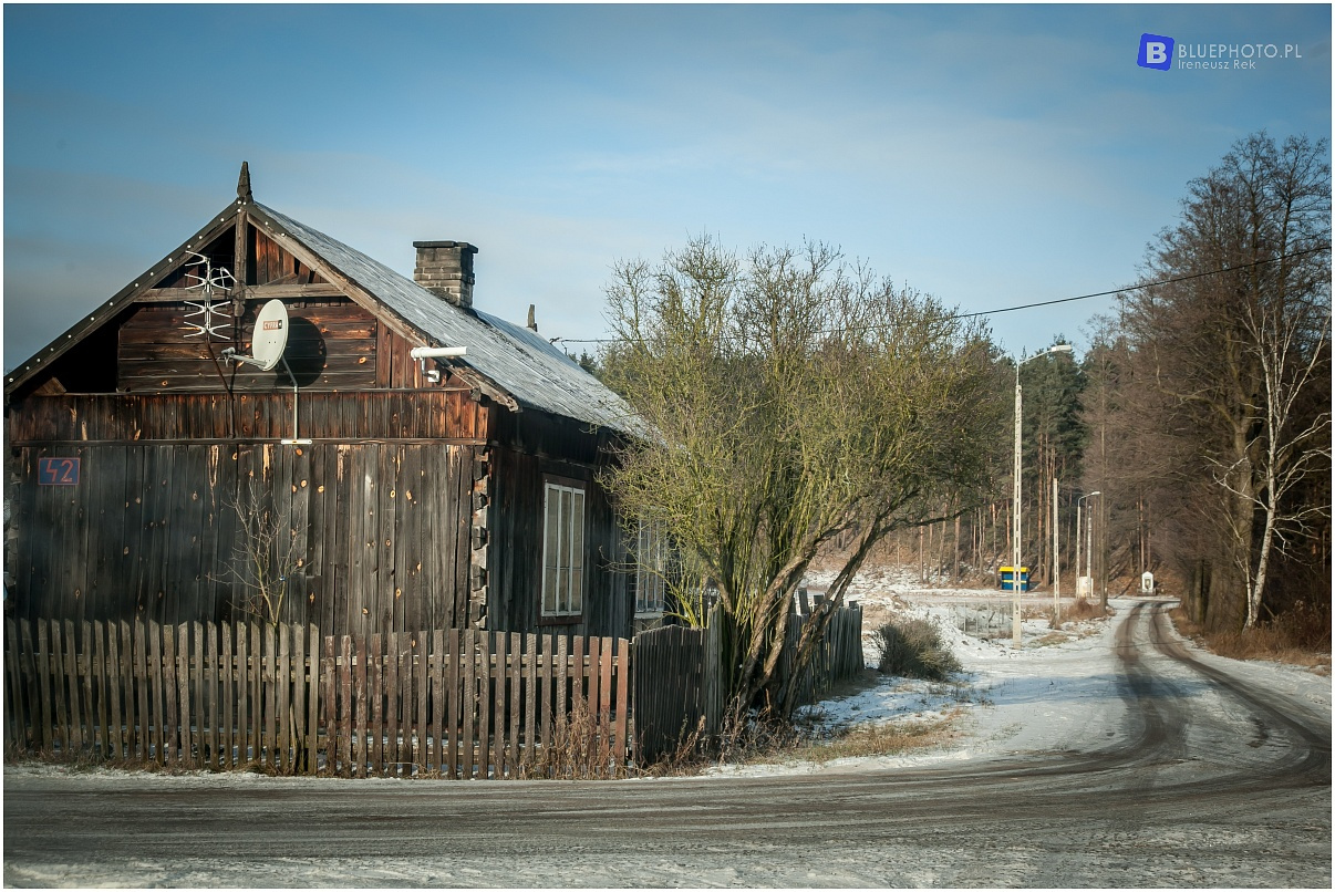Zimowy Kampinos