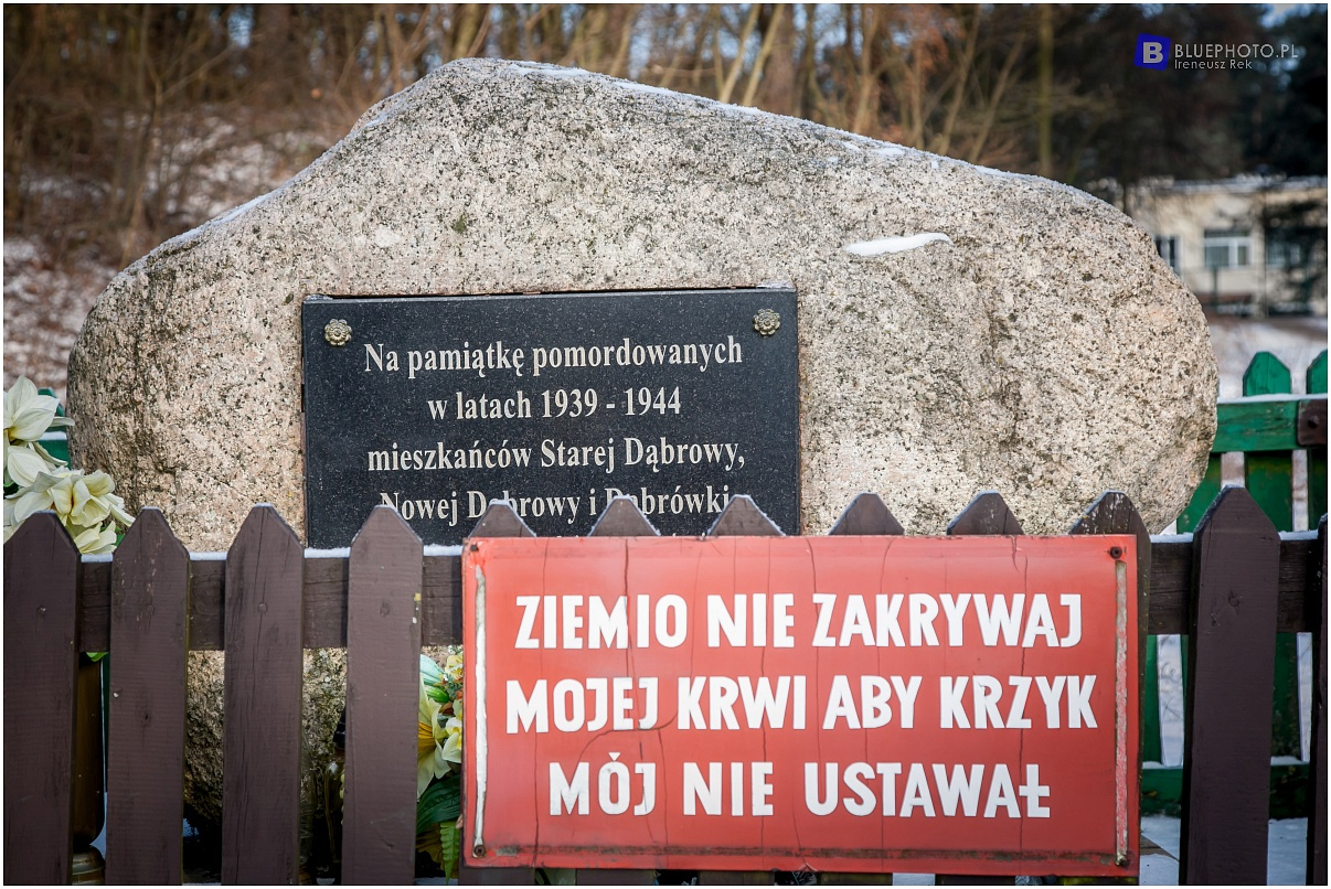 Zimowy Kampinos