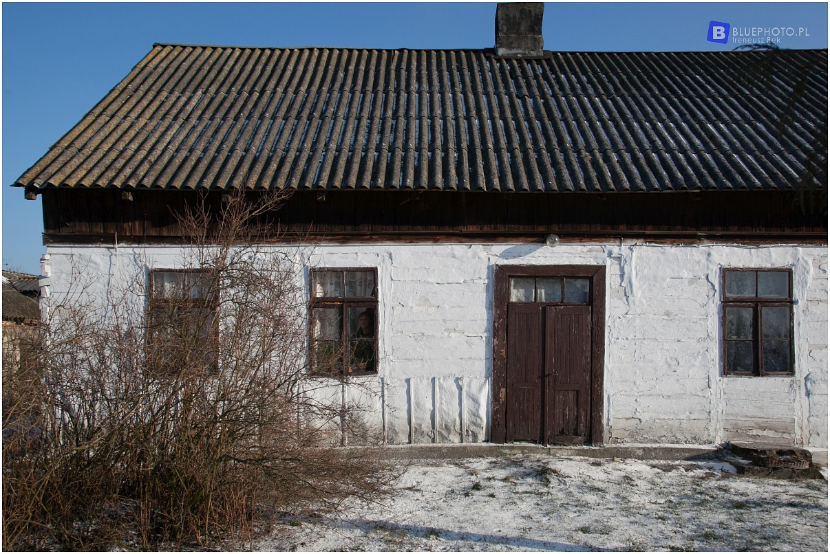 Zimowy Kampinos