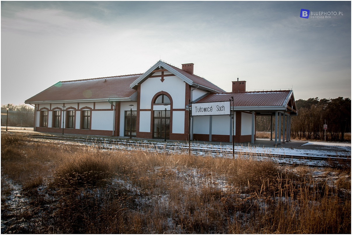 Zimowy Kampinos