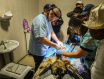 Hilux Veterinary Expeditions 