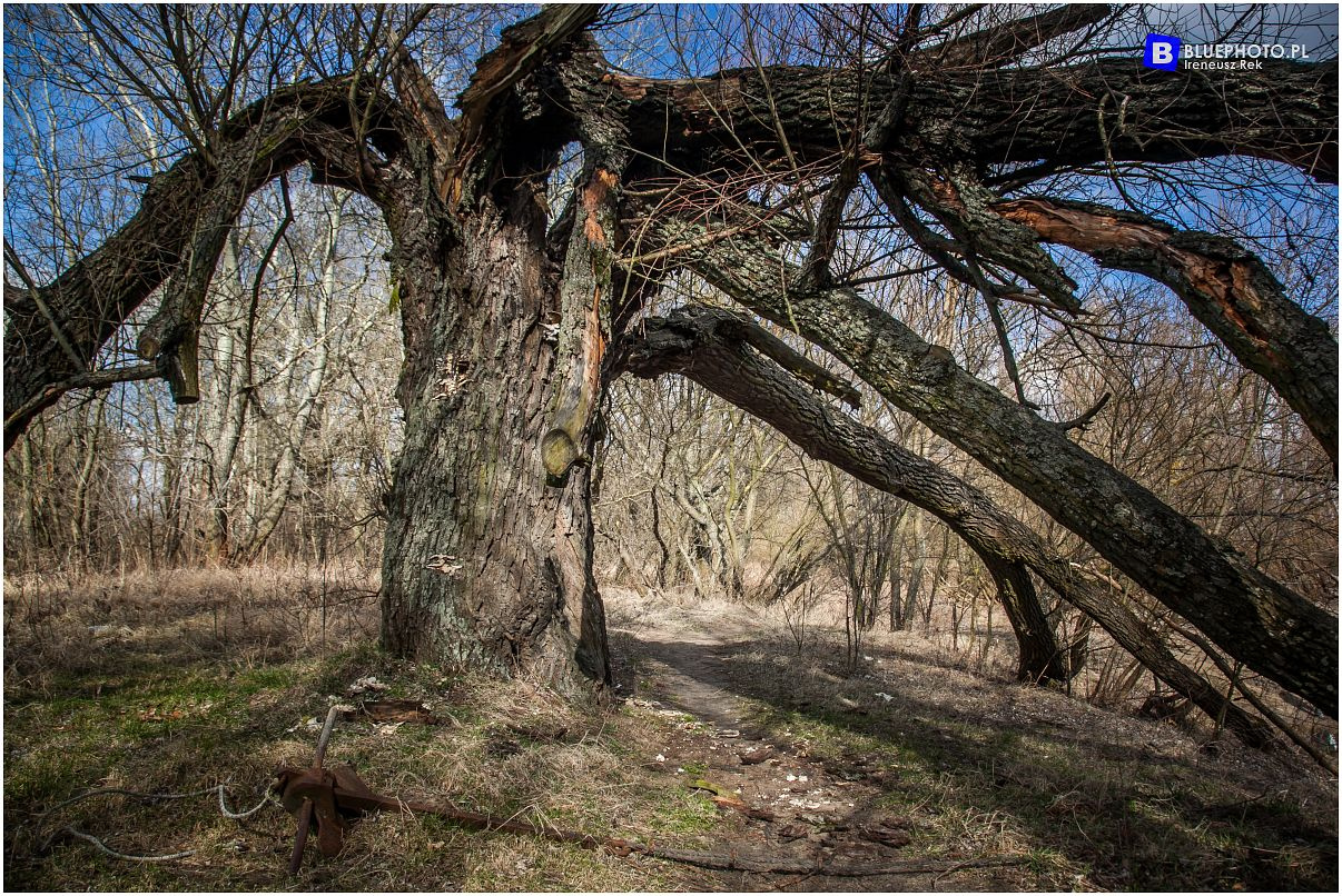 Fotorelacja z Mazovia Outback 9