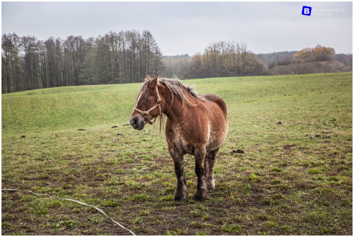 Podlasie na weekend