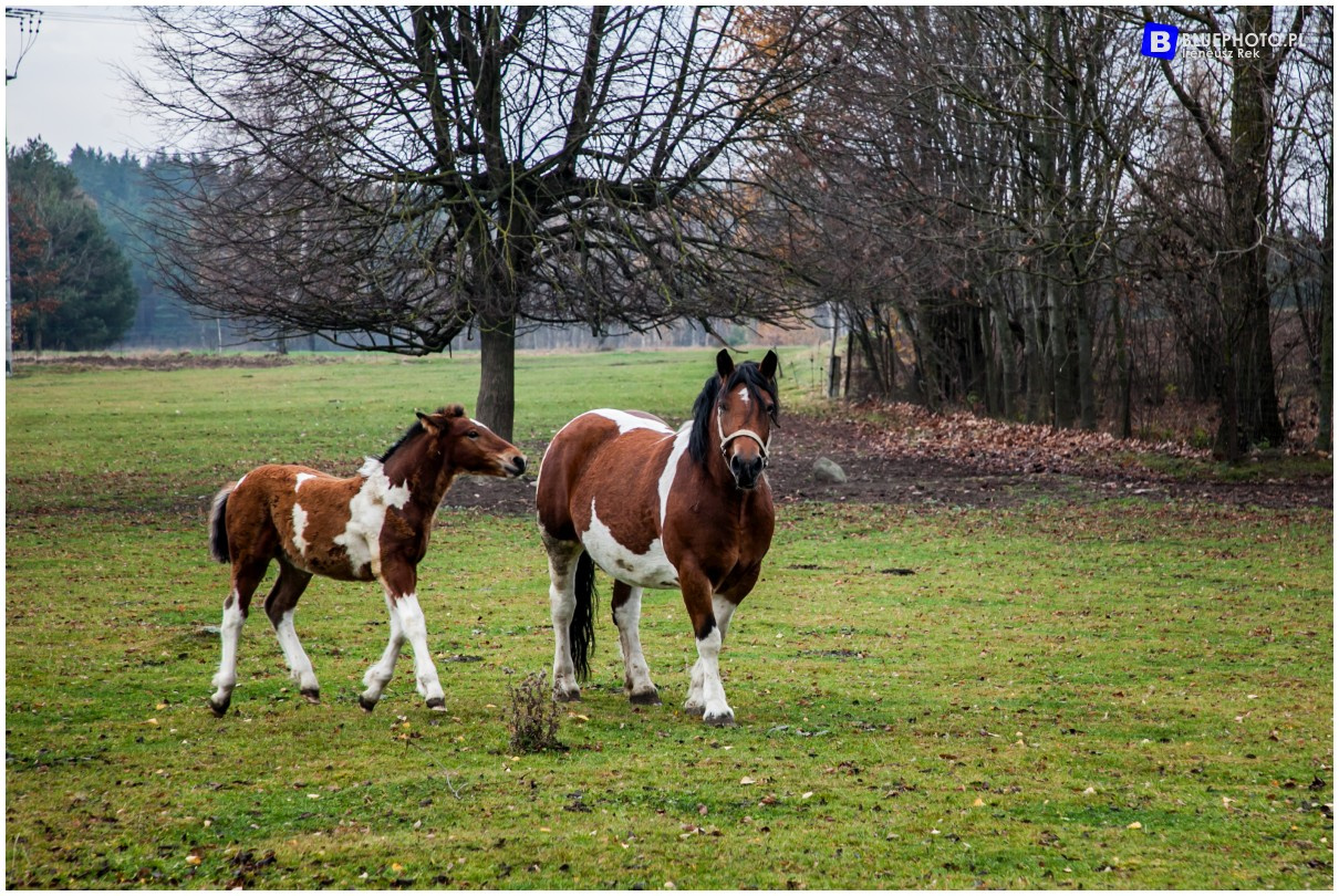Podlasie na weekend