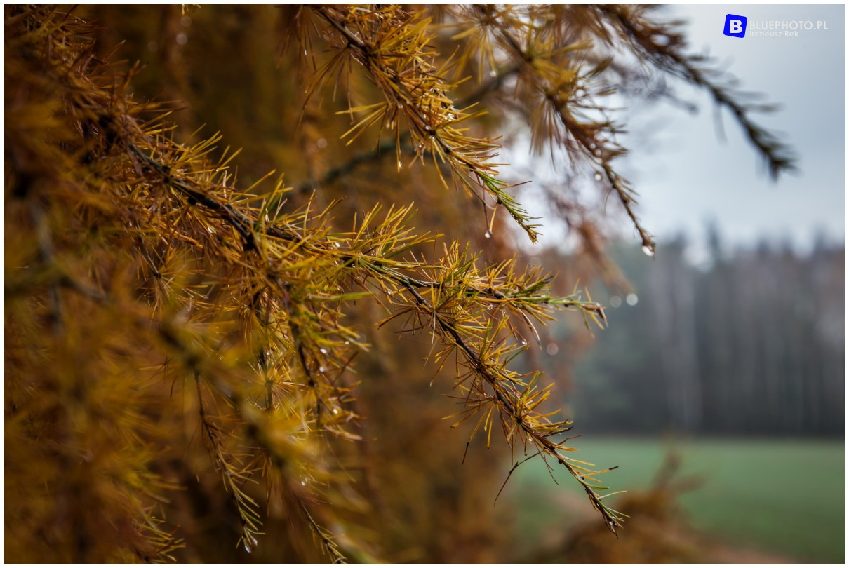 Podlasie na weekend