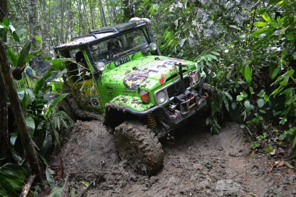 RAINFOREST CHALLENGE 2014