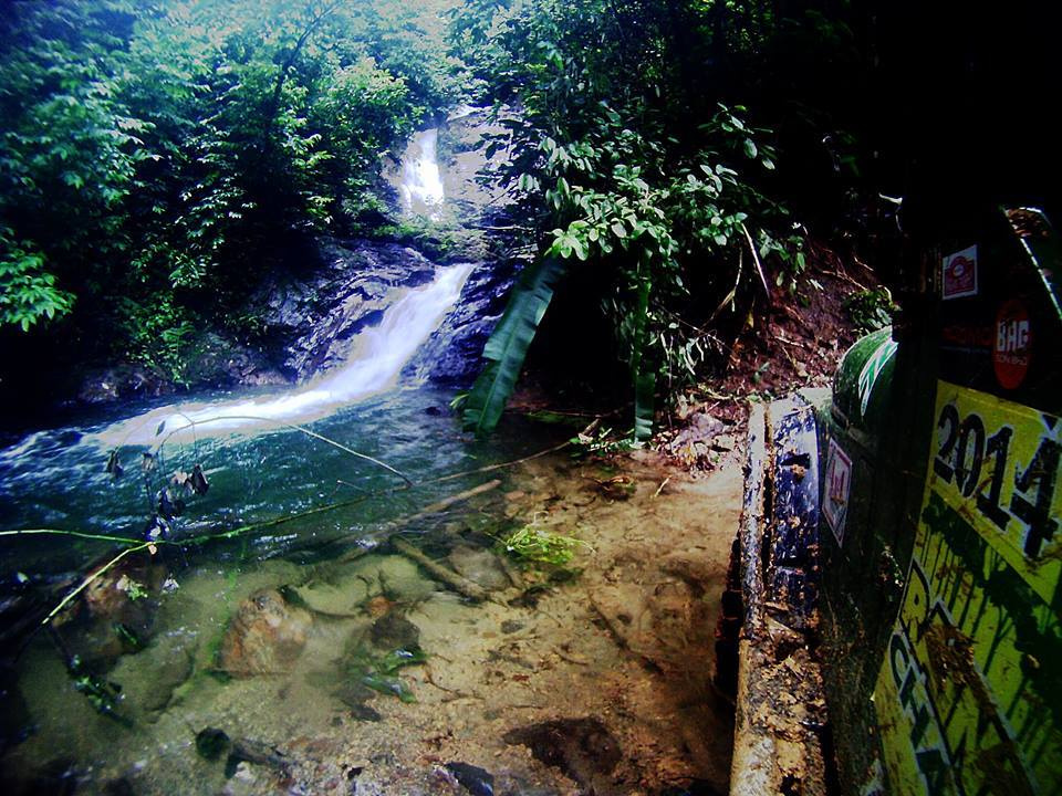 RAINFOREST CHALLENGE 2014