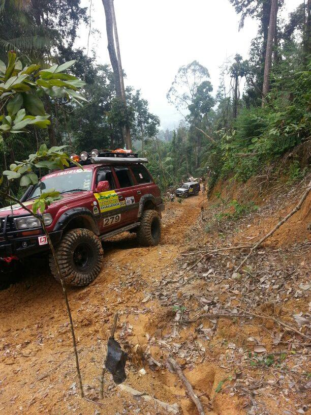 RAINFOREST CHALLENGE 2014