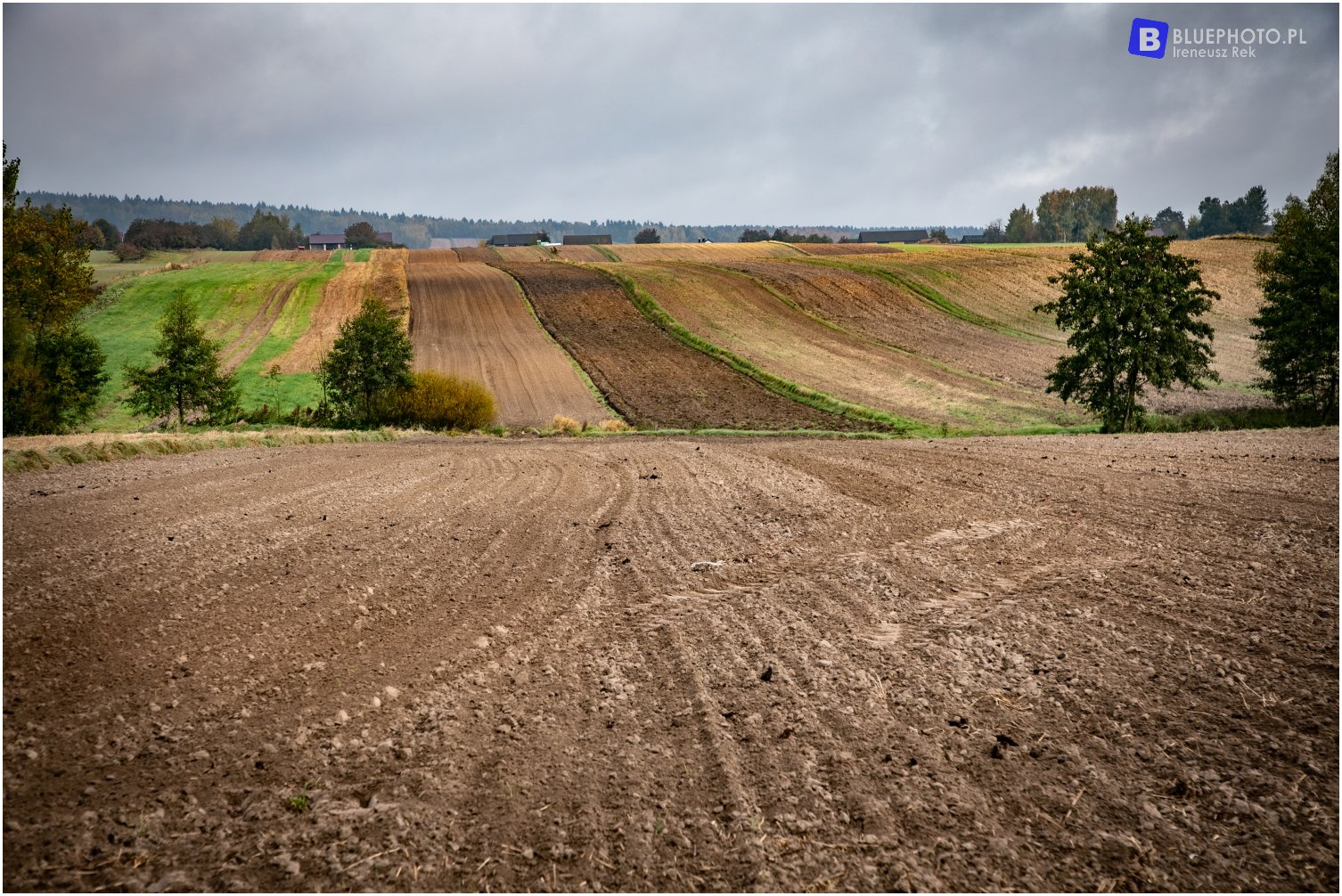 Trasa Świętokrzyska 2021