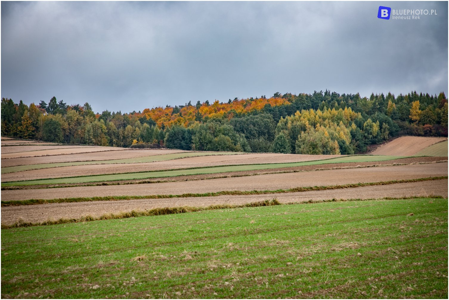 Trasa Świętokrzyska 2021