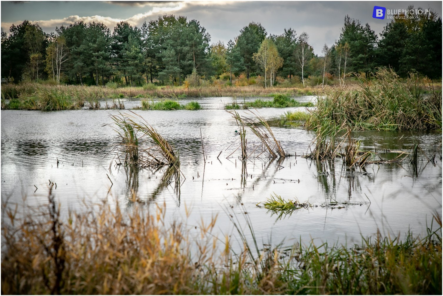 Trasa Świętokrzyska 2021
