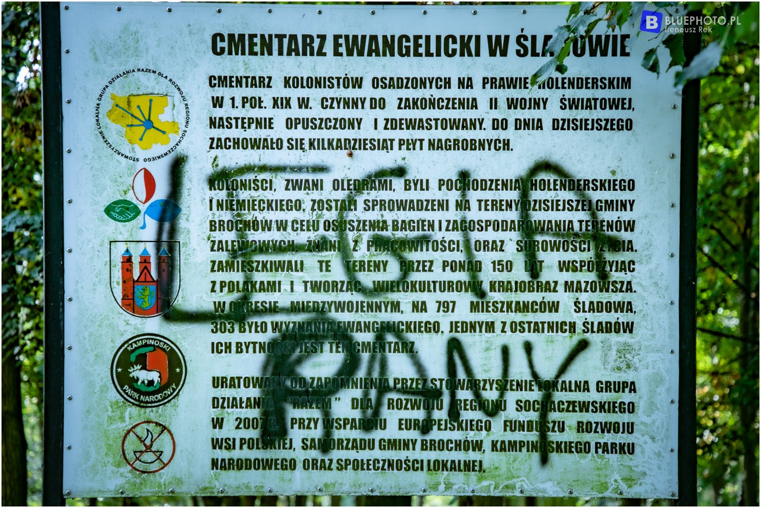 O2W - trasa 8 - Secymin - Sochaczew