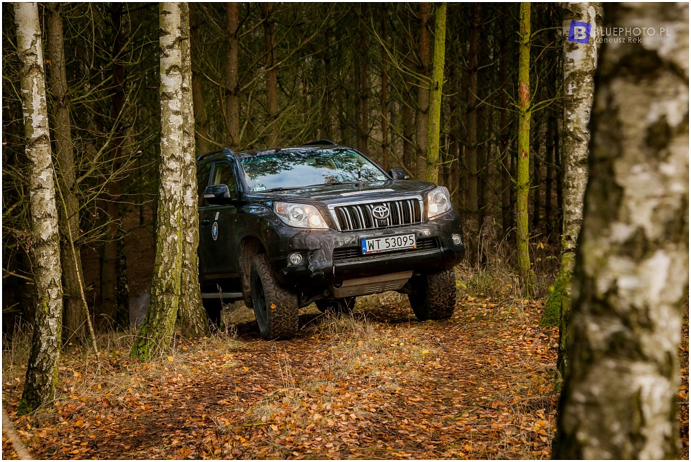 Land Cruiser KDJ155 Anny Brodzińskiej