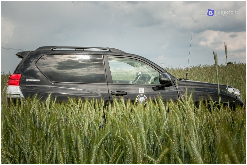 Land Cruiser KDJ155 Anny Brodzińskiej